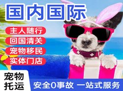 哈尔滨航空邮寄国际宠物托运 【国